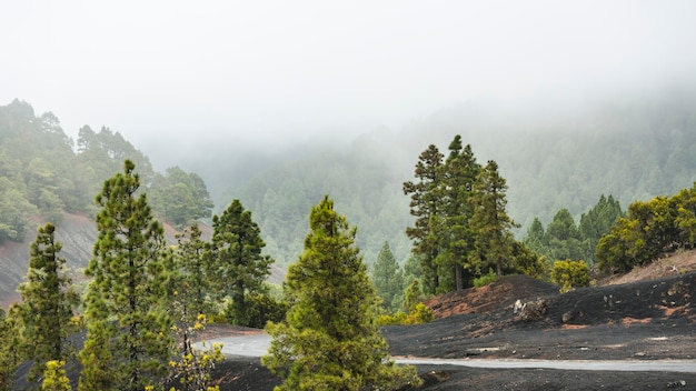 La Palma Las I Deszcz Hiszpania