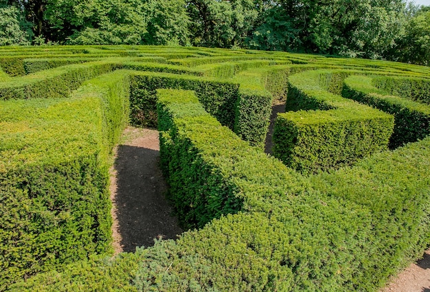 Labirynt w ogrodzie botanicznym