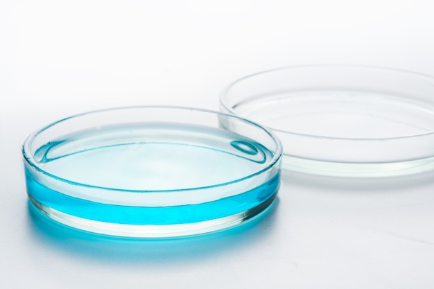 Laboratoryjne chemiczne szalki Petriego z niebieskim płynem na białym tle