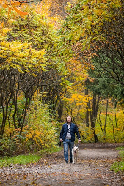 Labrador retriever i mężczyzna bawią się w parku. Złote tło jesień.