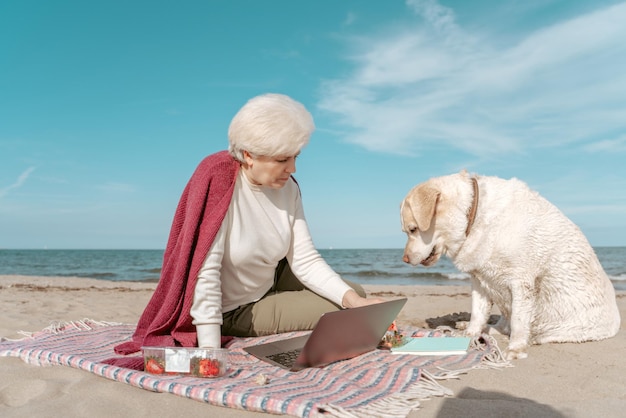 Labrador Retriever Siedzi Na Plaży Obok Starszej Kobiety I Wpatruje Się W Truskawkę