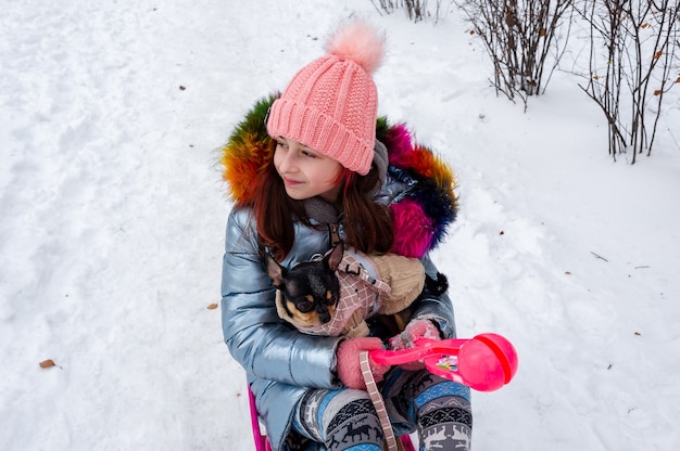 Ładna dziewczyna z chihuahua na charakter. Nastoletnia dziewczyna trzyma psa chihuahua śnieżną zimę