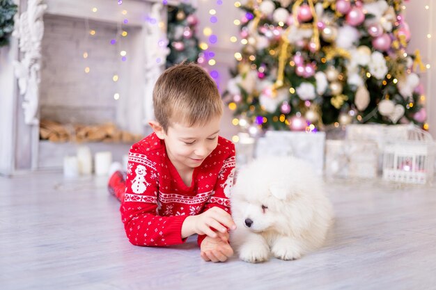 Ładny Mały Chłopczyk Z Białym Szczeniakiem Samoyed W Pobliżu Choinki, Koncepcja Wakacje, Nowy Rok