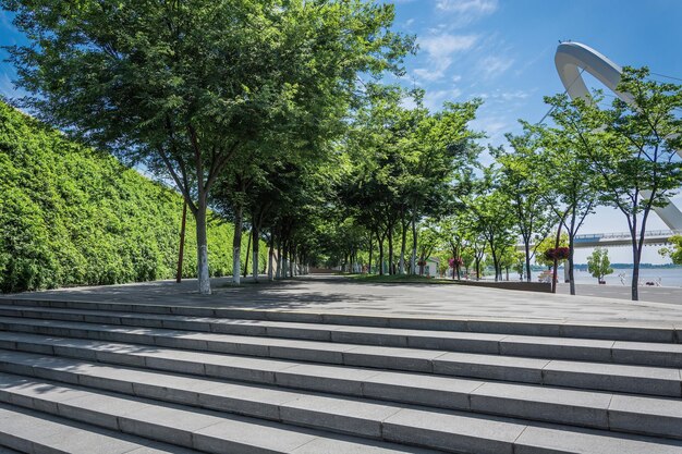 Zdjęcie Ładny park i schody z płytki