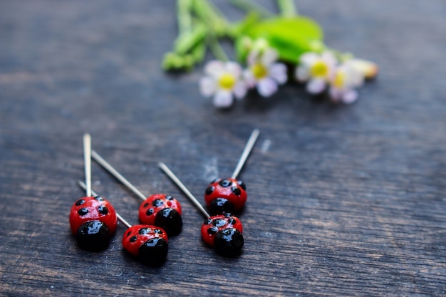 Lady Bug Pin