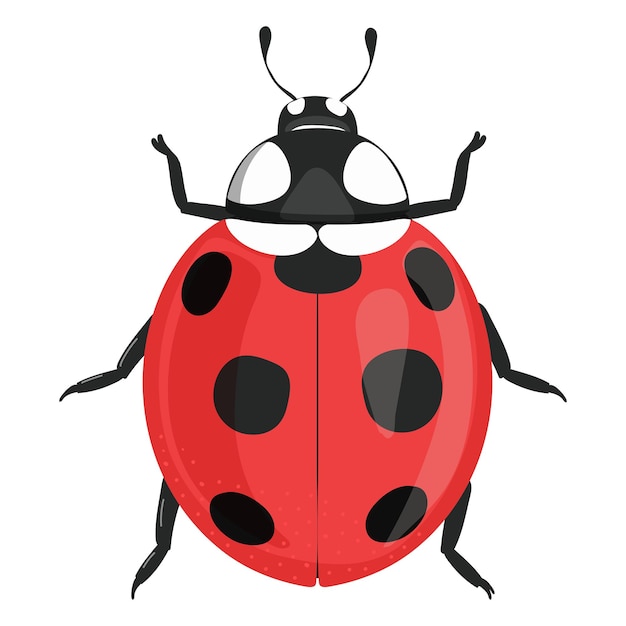 Ladybug png naklejka urocza ilustracja przezroczysty tło