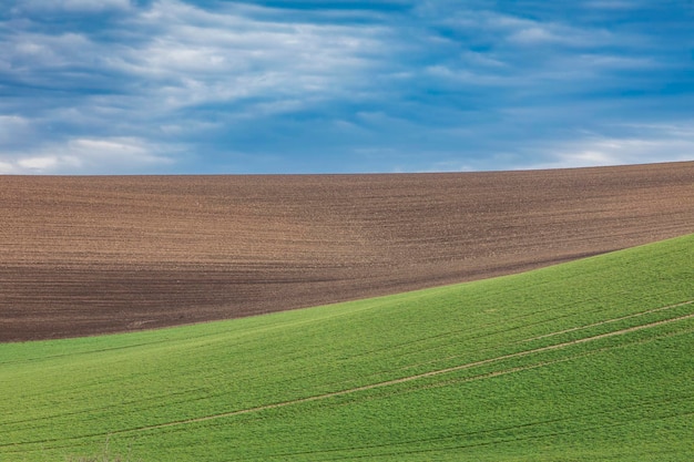 Łagodne Wzgórza Wczesną Wiosną W Słoneczny Dzień.