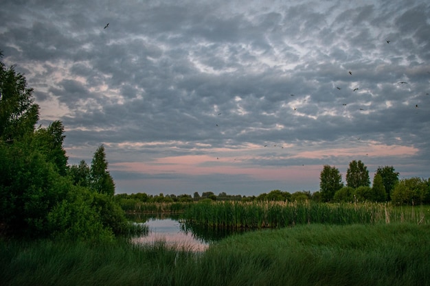 Łagodny świt nad jeziorem na polu