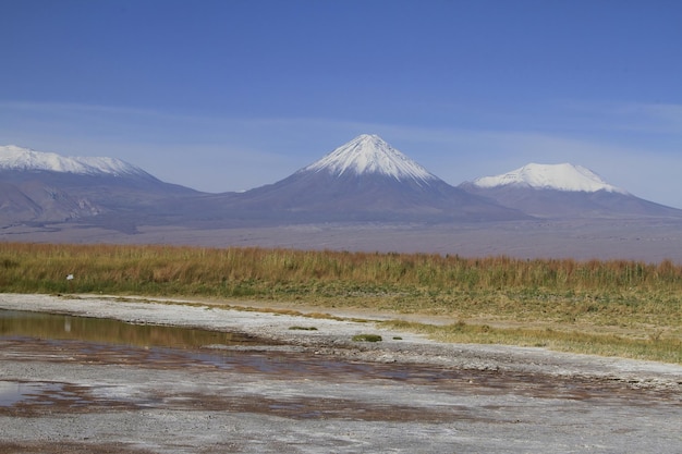 Laguna Cejar Atacama Chile