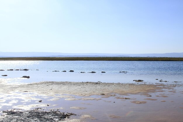 Laguna Cejar Atacama Chile