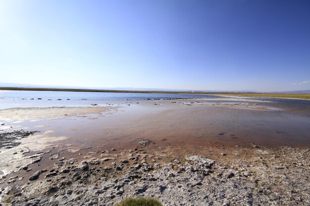 Laguna Cejar Atacama Chile