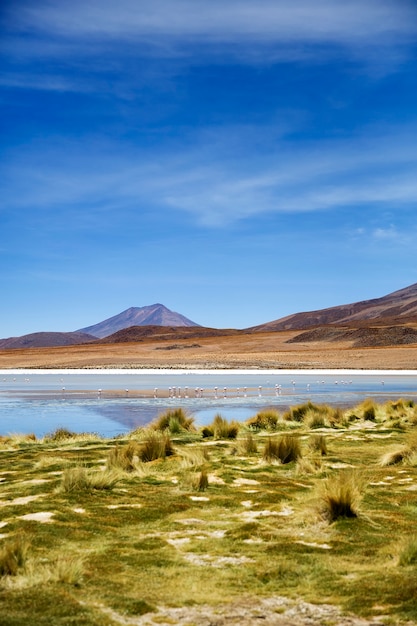 Laguna Colorada w Boliwii