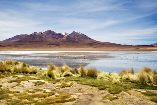 Laguna Colorada w Boliwii