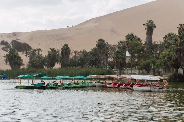 Zdjęcie laguna huacachina w peru