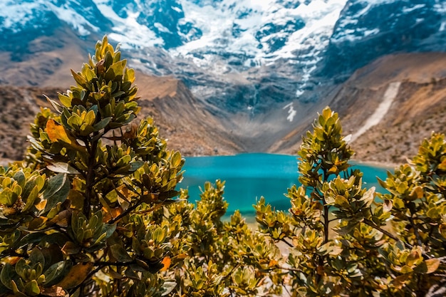 Laguna Humantay ze śniegiem i pięknymi pastwiskami Cusco Peru