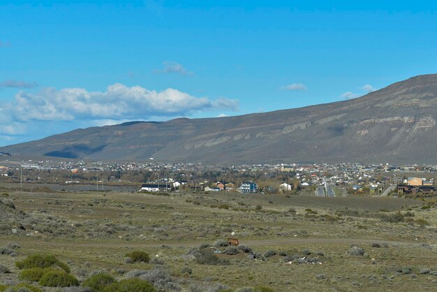 Laguna Nimez W Jeziorze Argentino Obok El Calafate W Argentyńskiej Patagonii