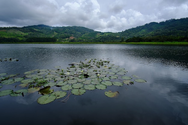 laguna okonalna