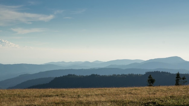 Zdjęcie Łąka na górze nad mglistymi wzgórzami