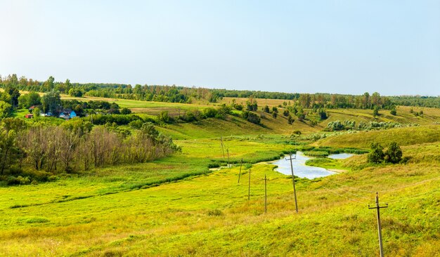 Łąka W Bolshoe Gorodkovo W Rosji