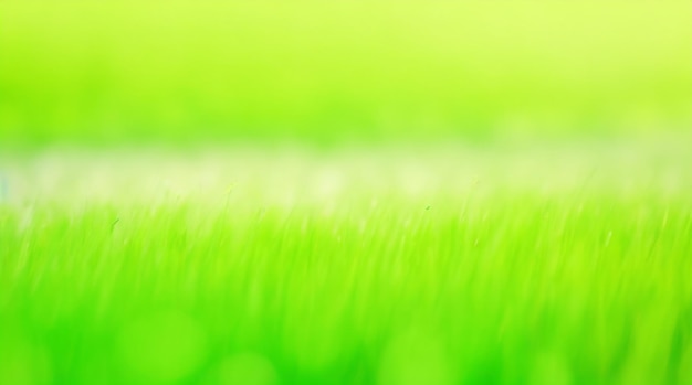 Zdjęcie Łąka zielona serenity rozmycie abstrakcyjne tło w spokojnych zielonych tonach