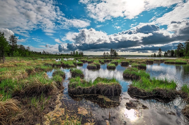 Lake Shore Słoneczny Dzień Karelia Rosja