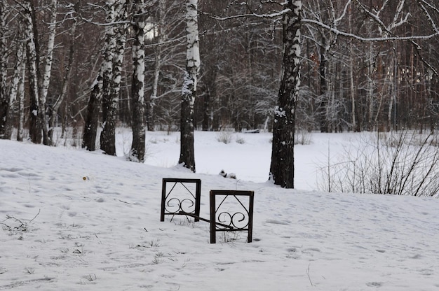 Łamana ławka na brzegu małego stawu w zimowy poranek. Region Moskwy. Rosja