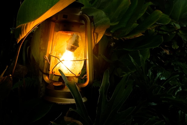Zdjęcie lampa naftowa
