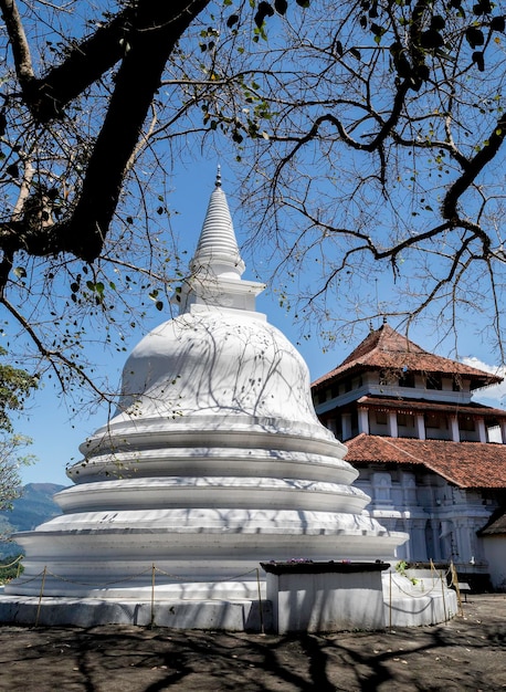 Zdjęcie lankatilaka vihara to starożytna świątynia buddyjska położona w udunuwara w kandy, xiv wiek