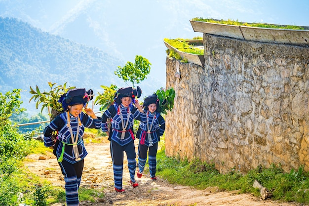 Lao Cai WIETNAM 06 MAJA 2023 piękny portret wietnamskiej dziewczyny Hani mniejszość etniczna Uśmiechnięta kobieta Hani w strojach narodowych Hani lub Ha Nhi to grupa etniczna w Wietnamie