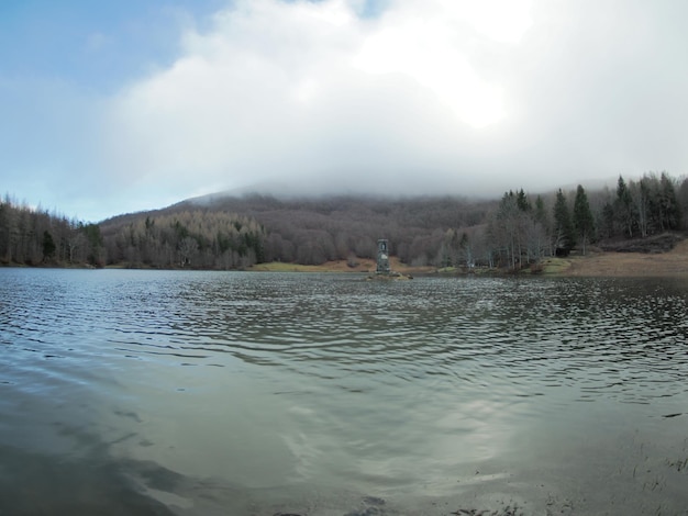 Las bukowy z bardzo starym drzewem w Calamone Ventasso Lake Włochy