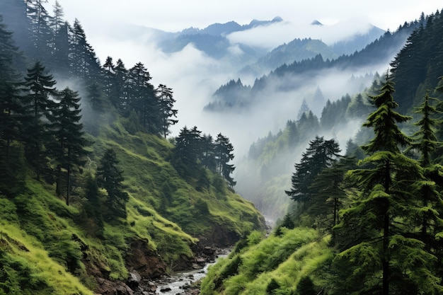 las górski z wysokimi drzewami myst i mgła ponure tło AI Generated