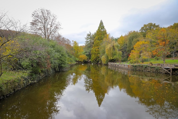 Las i jezioro jesienią