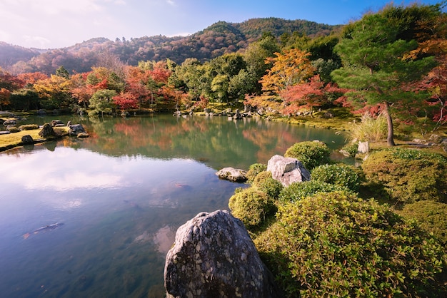 las jesienią w Japonii