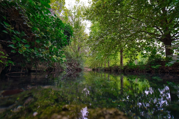 Las jesienią.