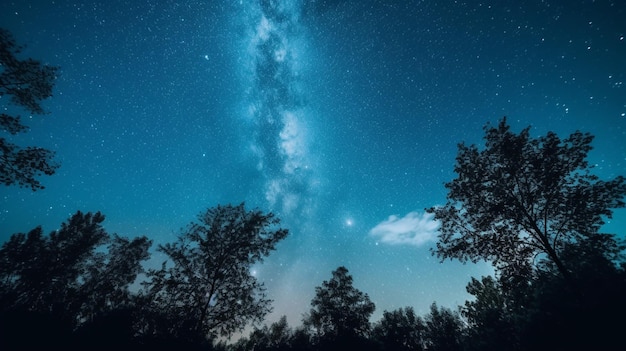 Las na tle nocnego nieba lub Star Field At Night tło sylwetek drzew generatywne AI