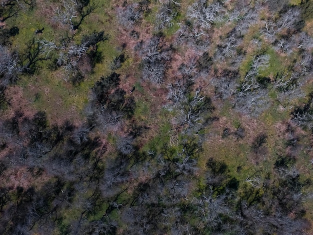 Las Pampas La Pampa Patagonia Argentyna