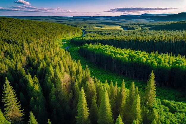 Las Południowego Uralu ma charakterystyczną topografię, zróżnicowaną florę i faunę