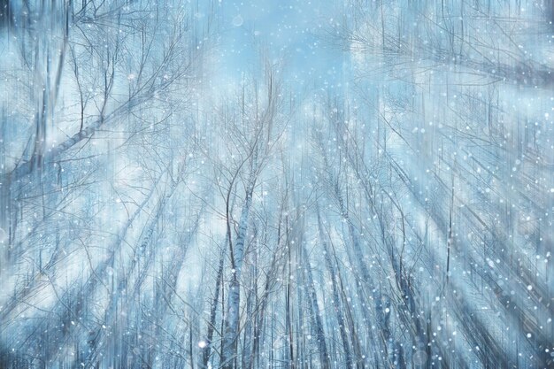 las śnieg rozmazane tło / zimowy krajobraz ośnieżony las, drzewa i gałęzie w zimową pogodę