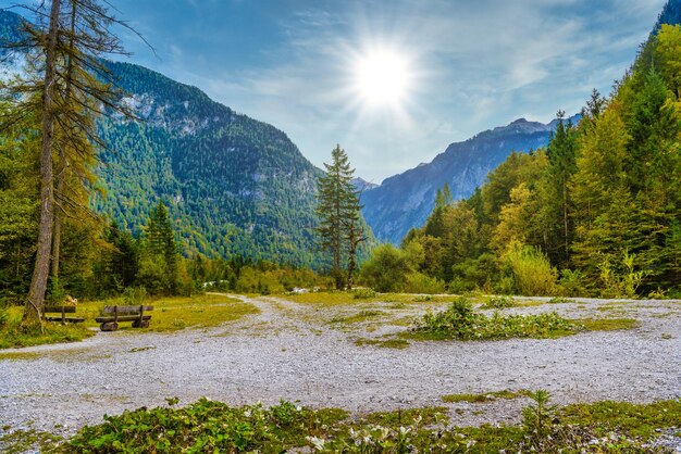 Las w górach Alp w pobliżu Koenigssee Konigsee Park Narodowy Berchtesgaden Bawaria Niemcy