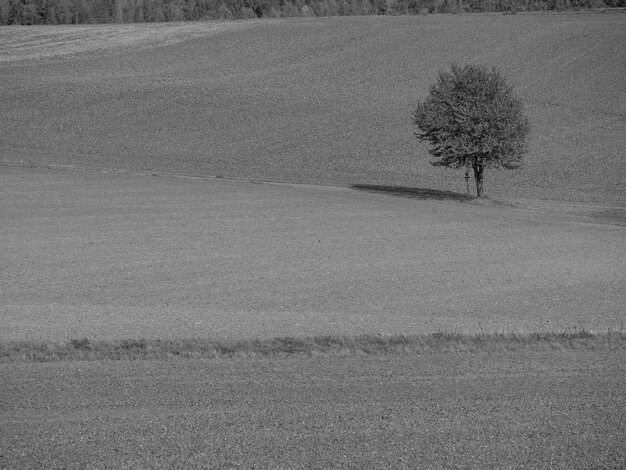 Zdjęcie las w pobliżu waldeck