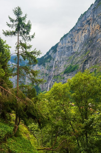 Las w Trummelbach mieści się w górach w dolinie Lauterbrunnen, dystrykt Interlaken, kanton Berno, Szwajcaria.