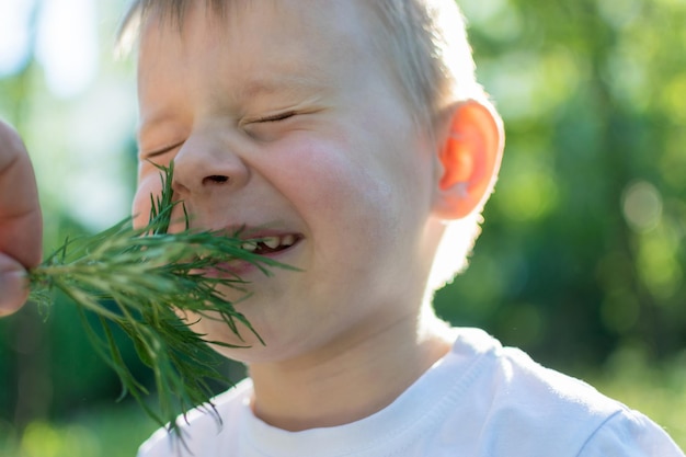 Łaskotanie twarzy małego chłopca z trawą Zabawa z dzieckiem na łonie natury