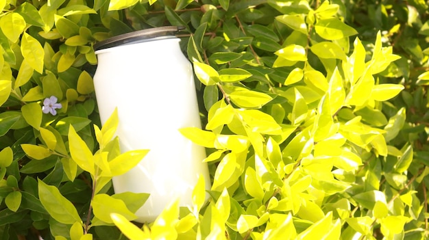 Lata blanca en el parque. soda bebida pl lata. makieta lata Blanca. bebida naturalna refrescante