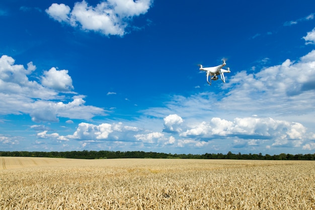 Latający dron nad polem pszenicy