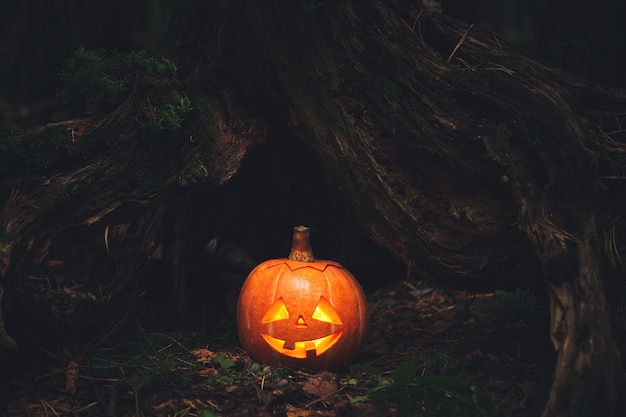 Latarnia Jacka w strasznym, mistycznym lesie. Rzeźbiona dynia. Halloweenowy tło.