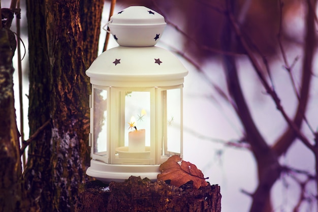 Zdjęcie latarnia ze świecą w lesie w pobliżu drzewa wieczorem. noc bożego narodzenia w lesie przy świetle latarni