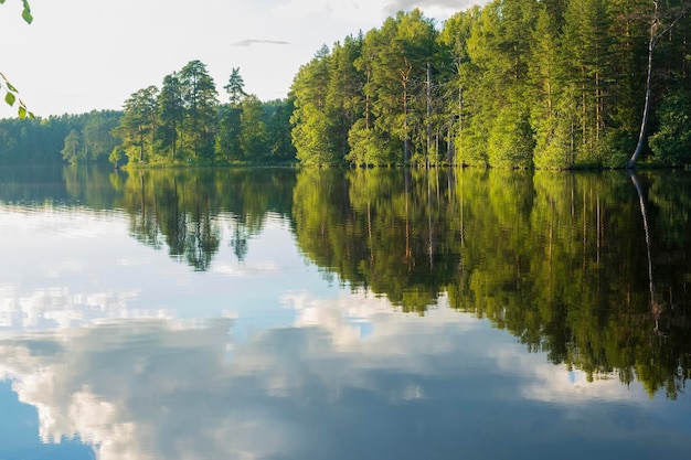 Latem w leśnym jeziorze odbijają się chmury