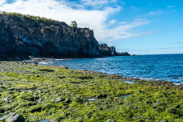 Latem Zielona Roślinność Morska Nad Morzem Na Plaży Charco Verde Na Wyspie La Palma. Wyspy Kanaryjskie Hiszpania