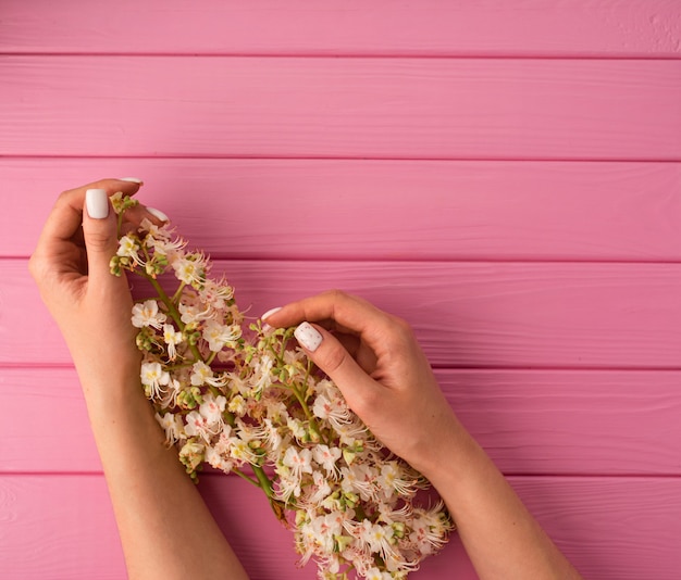lato abstrakcyjne tło kobieta ręka manicure trzymaj kwiat kwiaty kasztan
