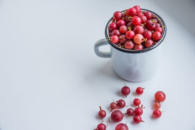 Lato jagody w białej filiżance z czerwonym agrestem na białym tle agrestowa czerwień, świeże dojrzałe jagody, zdrowy karmowy pojęcie. detox life. Skopiuj miejsce